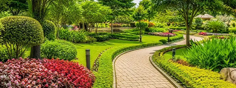 Wadhwa Project Vashi Garden